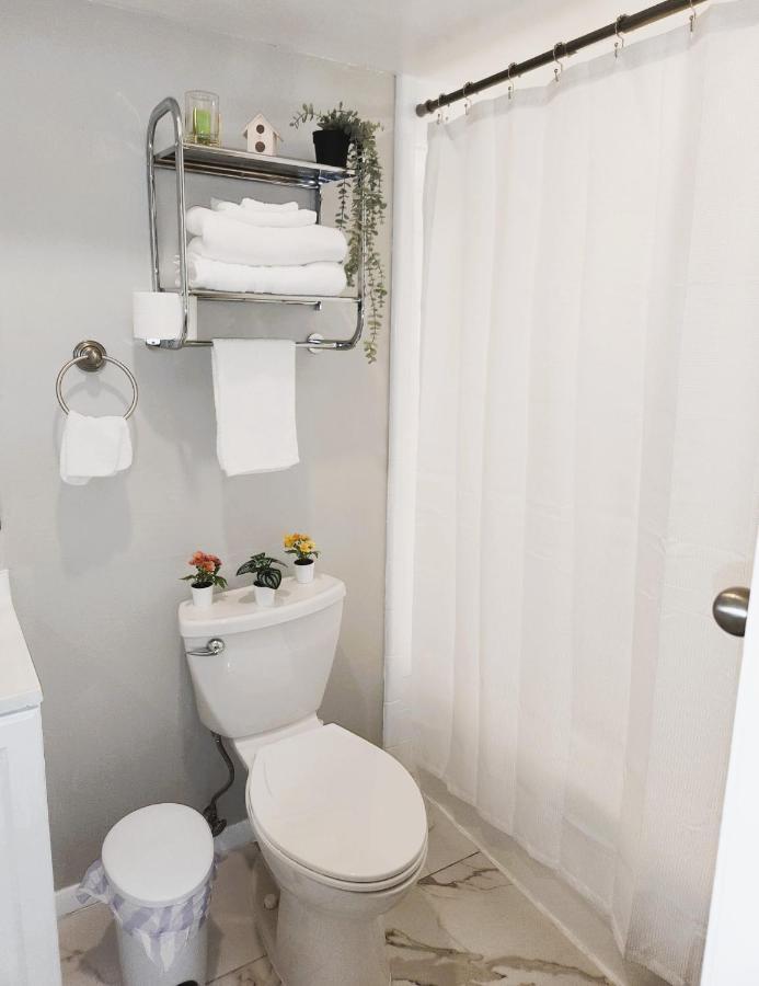 Adorable Mini Suite In تامبا المظهر الخارجي الصورة