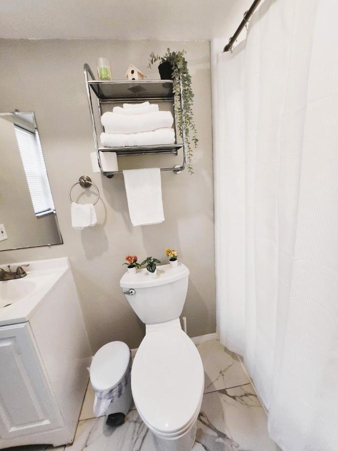 Adorable Mini Suite In تامبا المظهر الخارجي الصورة