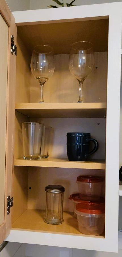 Adorable Mini Suite In تامبا المظهر الخارجي الصورة